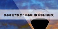 快手涨粉太慢怎么回事啊（快手涨粉特别慢）