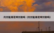 代付能用花呗付款吗（代付能用花呗付款吗）