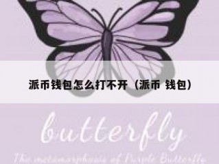 派币钱包怎么打不开（派币 钱包）