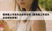 服务器上市龙头企业排名榜（服务器上市龙头企业排名榜单）