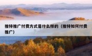 推特推广付费方式是什么样的（推特如何付费推广）