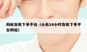蚂蚁自助下单平台（小熊24小时自助下单平台网站）