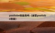 youtube收益高吗（油管youtube收益）