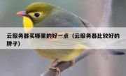 云服务器买哪里的好一点（云服务器比较好的牌子）