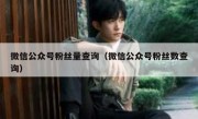 微信公众号粉丝量查询（微信公众号粉丝数查询）