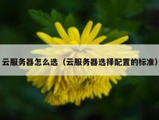 云服务器怎么选（云服务器选择配置的标准）