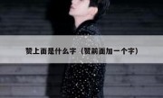 赞上面是什么字（赞前面加一个字）