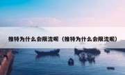 推特为什么会限流呢（推特为什么会限流呢）