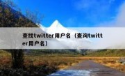 查找twitter用户名（查询twitter用户名）