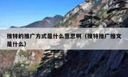 推特的推广方式是什么意思啊（推特推广推文是什么）