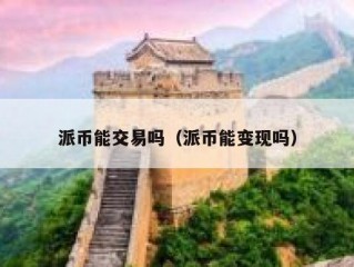 派币能交易吗（派币能变现吗）