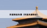 许嵩粉丝头像（许嵩头被粉丝）