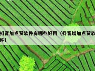 抖音加点赞软件有哪些好用（抖音增加点赞软件）