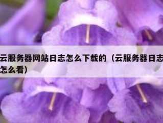 云服务器网站日志怎么下载的（云服务器日志怎么看）
