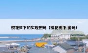 樱花树下的实现密码（樱花树下 密码）