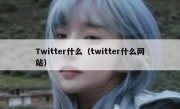 Twitter什么（twitter什么网站）