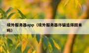 境外服务器app（境外服务器诈骗追得回来吗）