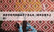 派币手机号码验证不了怎么办（派币总登不上去）
