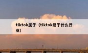 tiktok属于（tiktok属于什么行业）