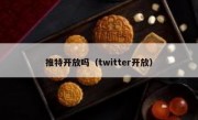 推特开放吗（twitter开放）