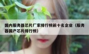 国内服务器芯片厂家排行榜前十名企业（服务器国产芯片排行榜）