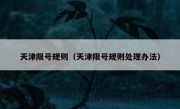 天津限号规则（天津限号规则处理办法）