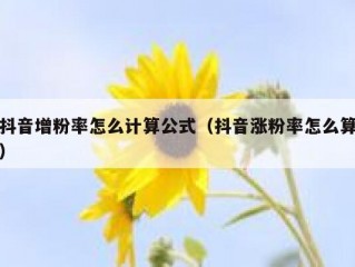 抖音增粉率怎么计算公式（抖音涨粉率怎么算）