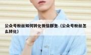 公众号粉丝如何转化微信群主（公众号粉丝怎么转化）