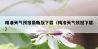 精准天气预报最新版下载（精准天气预报下载）