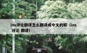 ins评论翻译怎么翻译成中文的呢（ins 评论 翻译）