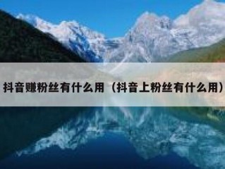 抖音赚粉丝有什么用（抖音上粉丝有什么用）