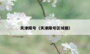天津限号（天津限号区域图）
