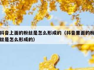 抖音上面的粉丝是怎么形成的（抖音里面的粉丝是怎么形成的）