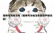 视频号为啥没有（视频号为啥没有原创声明功能）