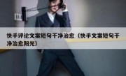 快手评论文案短句干净治愈（快手文案短句干净治愈阳光）