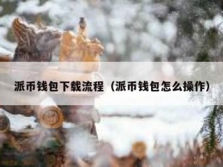 派币钱包下载流程（派币钱包怎么操作）