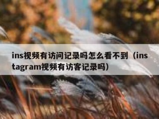 ins视频有访问记录吗怎么看不到（instagram视频有访客记录吗）