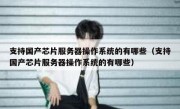 支持国产芯片服务器操作系统的有哪些（支持国产芯片服务器操作系统的有哪些）