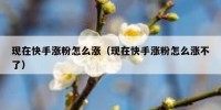 现在快手涨粉怎么涨（现在快手涨粉怎么涨不了）