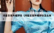 鸿星尔克外媒评价（鸿星尔克外媒评价怎么样）