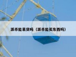 派币能易货吗（派币能买东西吗）