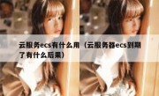 云服务ecs有什么用（云服务器ecs到期了有什么后果）
