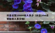 抖音点赞10000收入多少（抖音20w点赞能收入多少钱）