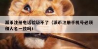 派币注册电话验证不了（派币注册手机号必须和人名一致吗）