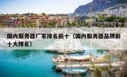 国内服务器厂家排名前十（国内服务器品牌前十大排名）