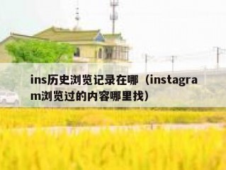 ins历史浏览记录在哪（instagram浏览过的内容哪里找）