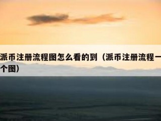 派币注册流程图怎么看的到（派币注册流程一个图）