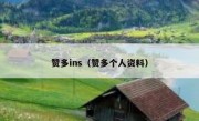 赞多ins（赞多个人资料）