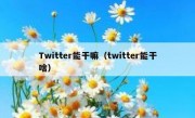 Twitter能干嘛（twitter能干啥）