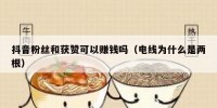 抖音粉丝和获赞可以赚钱吗（电线为什么是两根）